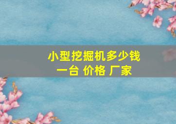 小型挖掘机多少钱一台 价格 厂家